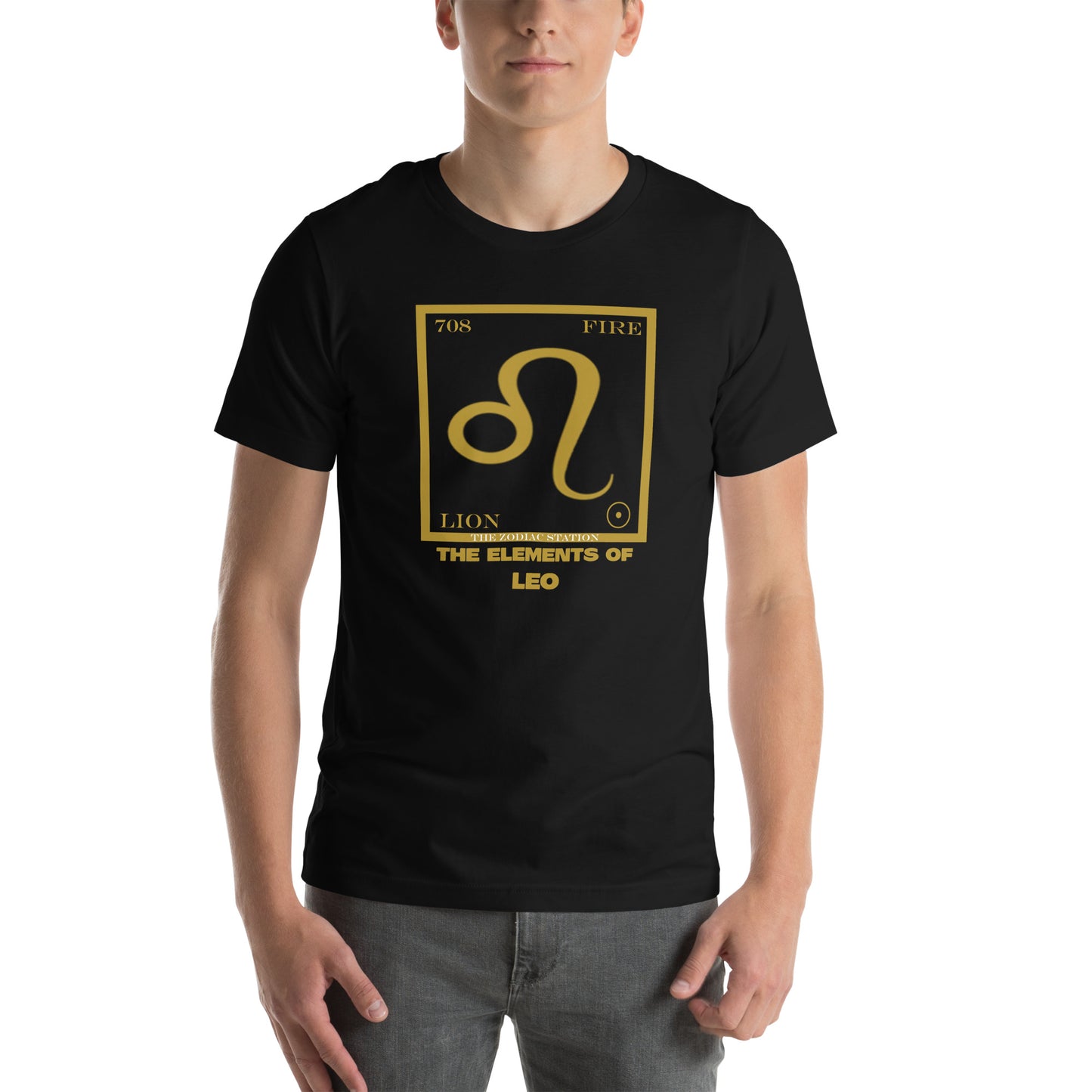 Leo - Element - Unisex t-shirt