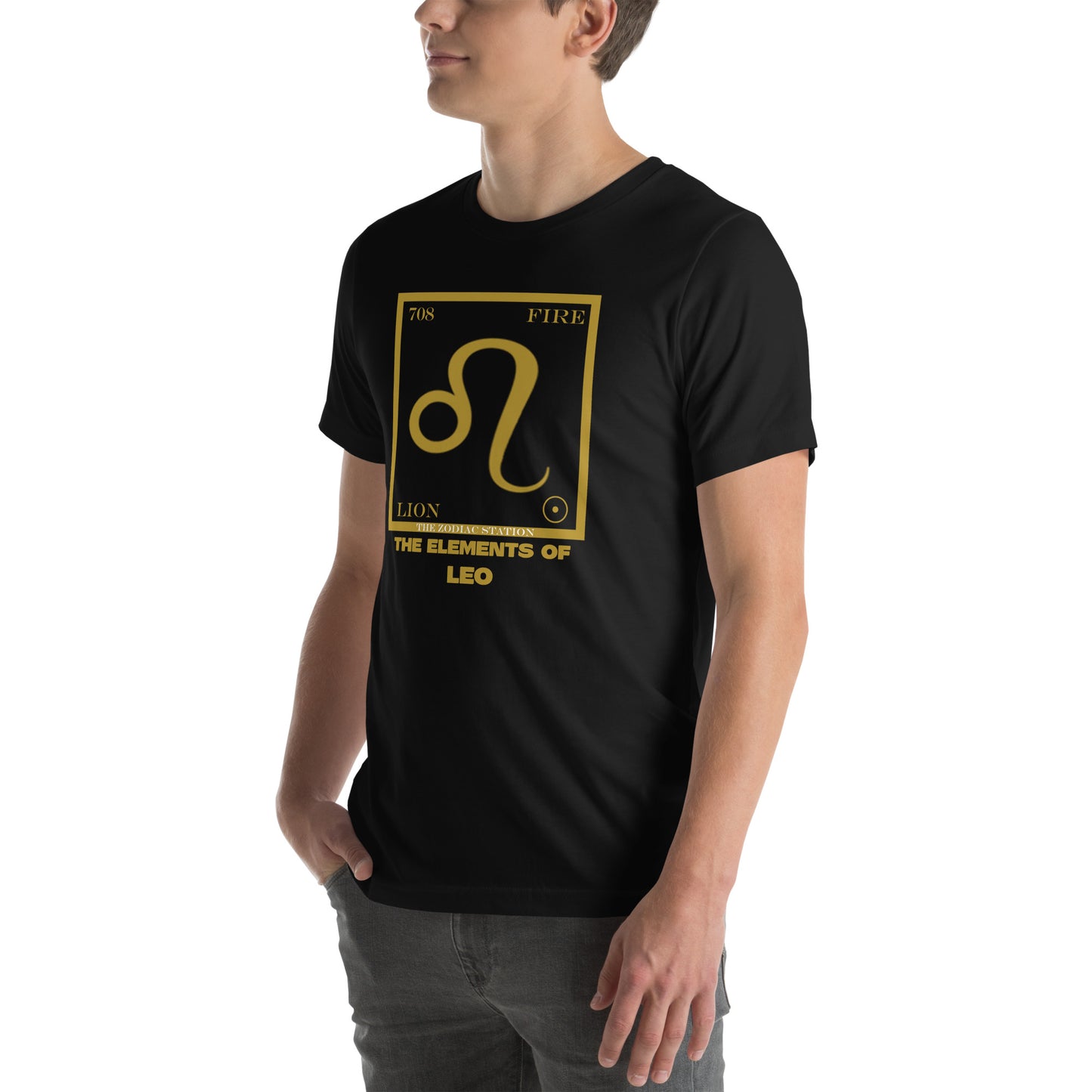 Leo - Element - Unisex t-shirt