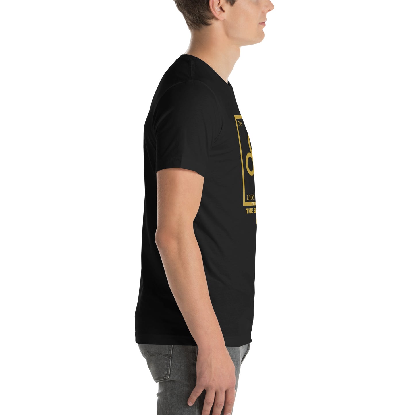 Leo - Element - Unisex t-shirt