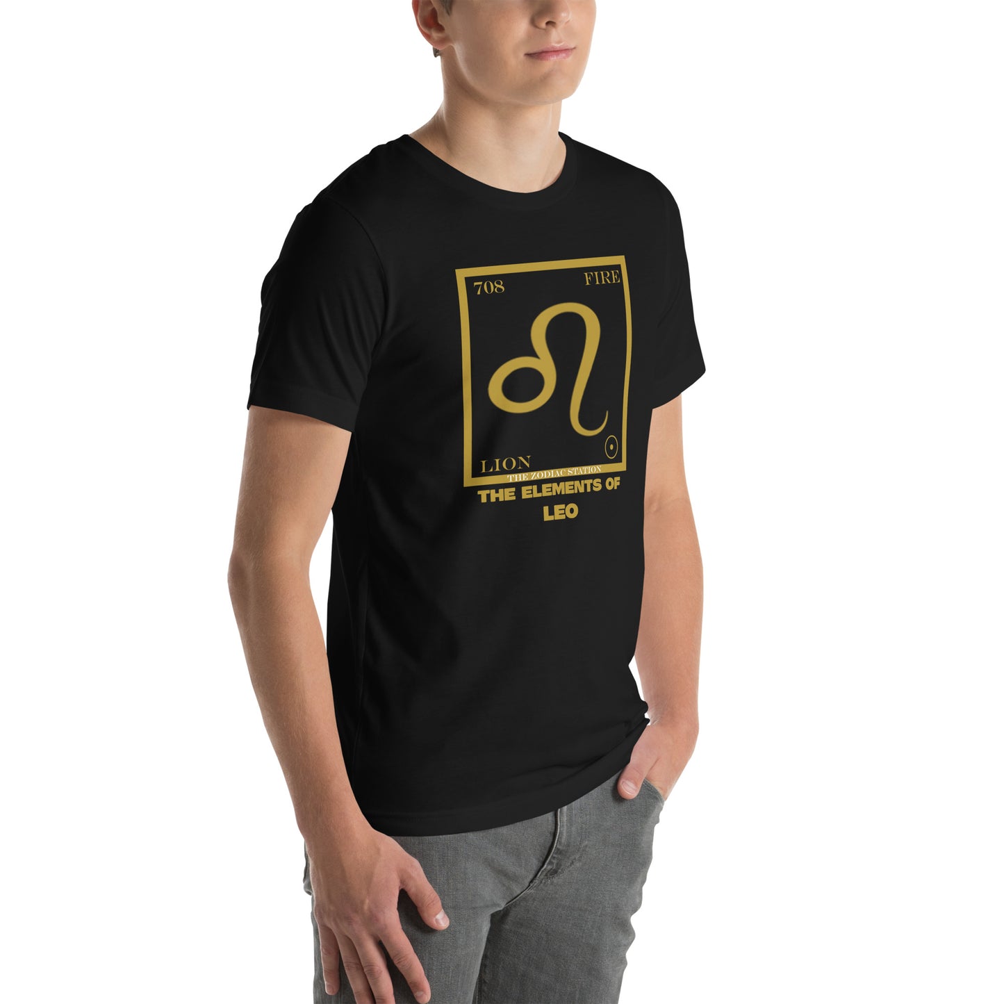 Leo - Element - Unisex t-shirt